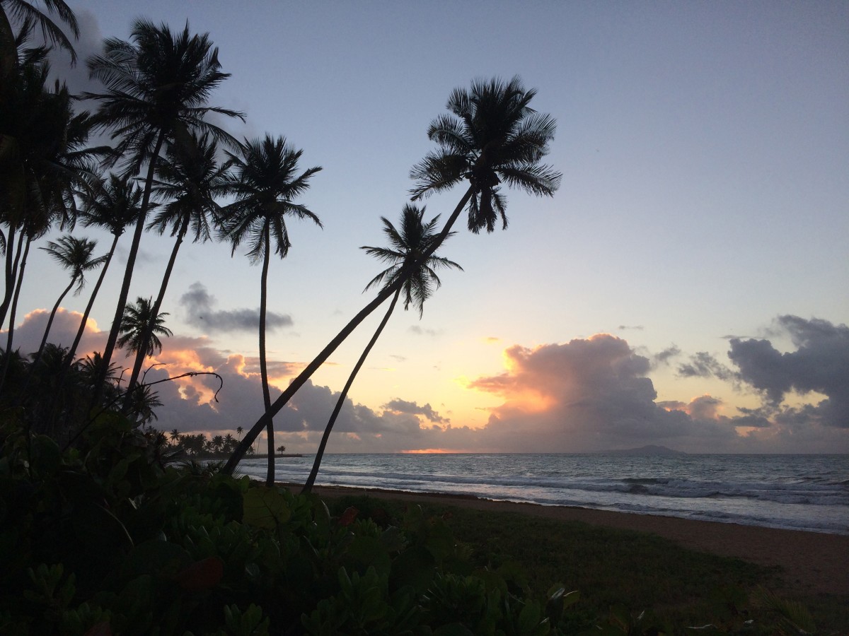 Beach view.